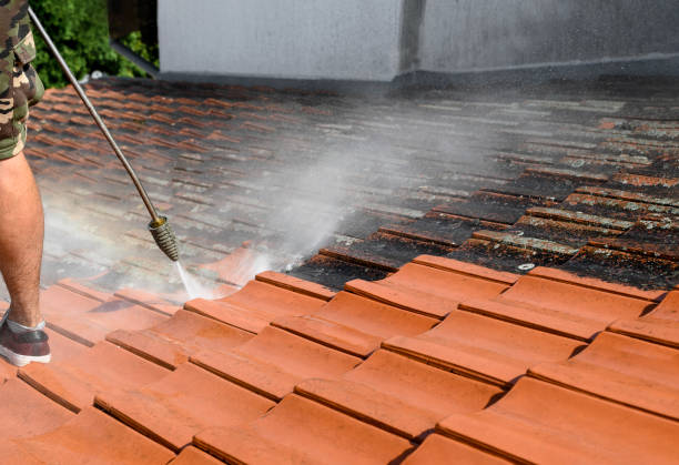 Best Pressure Washing Near Me  in Delevan, NY