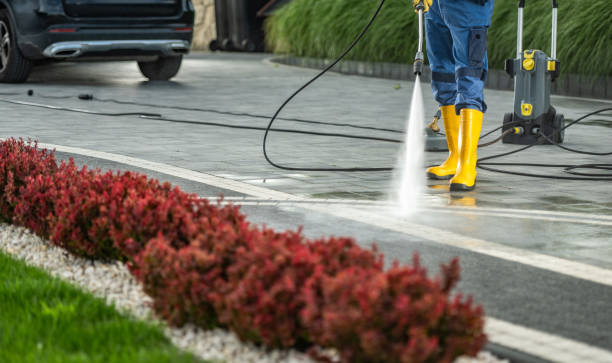 Best Local Pressure Washing Services  in Delevan, NY